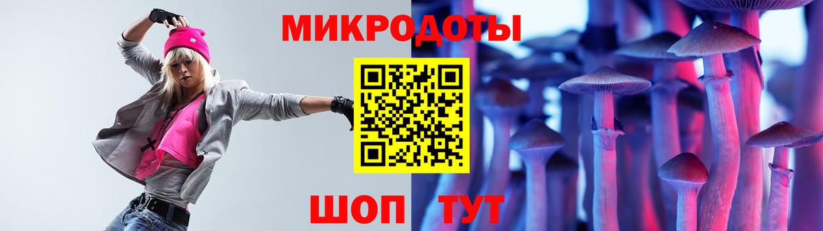 Псилоцибиновые грибы Psilocybine cubensis Ижевск