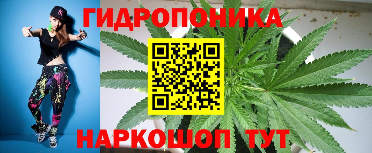 Конопля гибрид  Вход с VPN  Бошки марихуана LSD WEED  Марихуана тримм  Бошки марихуана THC 21%  Ижевск 