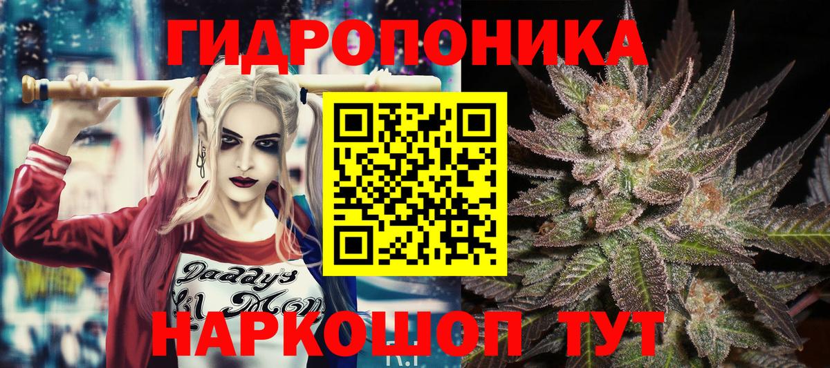 Канабис SATIVA & INDICA Ижевск